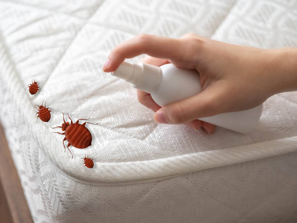 Best Emergency Pest Control  in Tahoka, TX